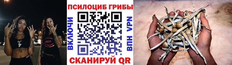 Псилоцибиновые грибы мицелий  Боровичи 